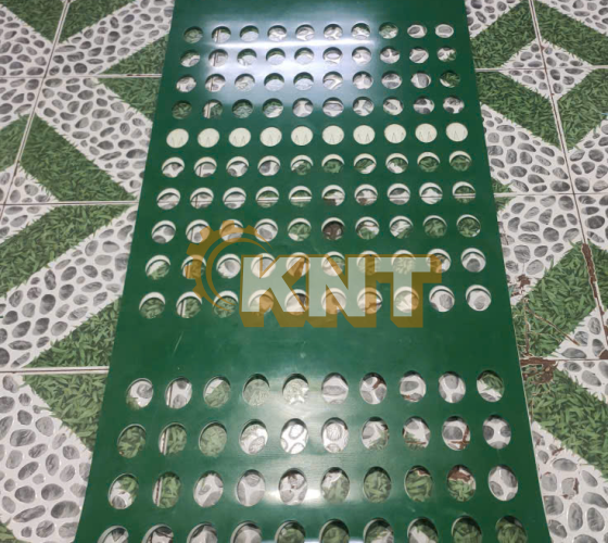 Dây băng tải pvc xanh 5mm đục lổ oval Kim Ngân Thịnh